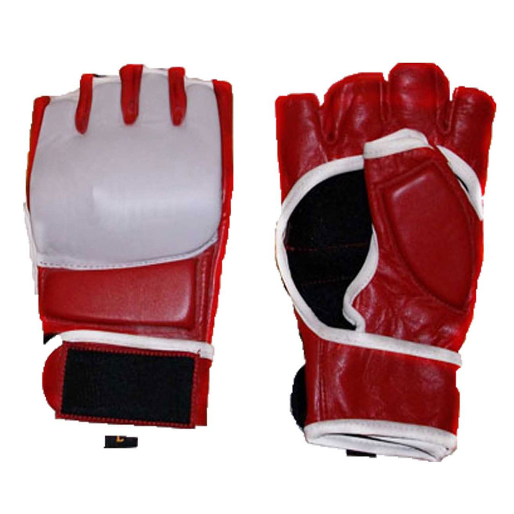 MMA Gloves