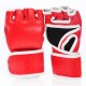 MMA Gloves